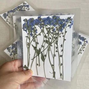 Decorative Flowers 24PCS/5-8CM Real Natural Plant Dried Pressed Forget-me-not Branches For DIY Craft Resin Jewellery Nails Art