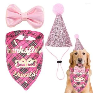 Dog abbigliamento per feste di compleanno per feste cappelli con papilla decorazione bomboniere cani costumi animali domestici per piccoli