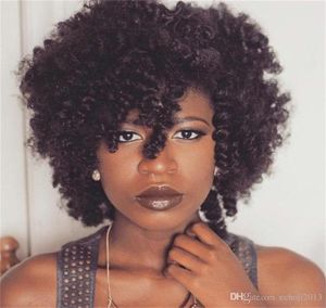 Perucas de cabelo humano de renda encaracolada curta para mulheres negras afro 10 polegadas 130 densidade afro -americana4610147