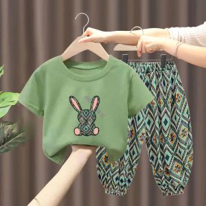 Trousers Children's Cotton Clothing Set Baby Boy Girl 2pcs Suit Summer Cartoon Rabbit Pattern Tshirts Top and Haren Pants Kids Loungewear