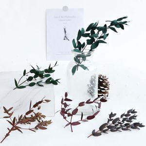 Plant Gift Nature Preserved Eucalyptus Leaves Resin Molds,Mini Dried Flower Bouquet,Dried Flower for Candles Crafts DIY Material