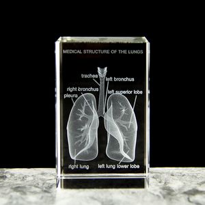 CRYSTAL 3D LASER ENGRAVED Human Anatomical Lung Cube Model Statue Paperweight Respiratory Medical Souvenir Science Gifts