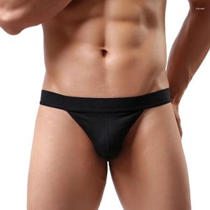 Underpants Brand Men's Sexy Thongs Briefs Cotton G-strings Thong Men Tanga Gay Underwear Male Jockstraps Exotic Solid Panties