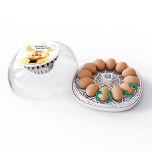 12 ovos frango ovos automáticos incubador pássaro codorna ninhada inteira incubadora de ovos de ovos de incubatório Termostato do controlador de incubador