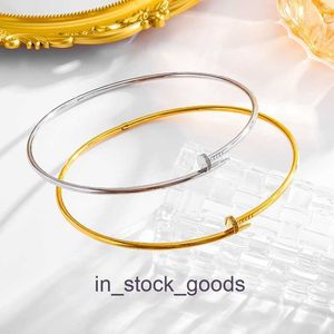 High End Designer Halsband Carter Choker Head and Tail Set med fyrkantig diamant nagel krage rostfritt stål Nytt kinesiskt halsband litet och färglöst titanstål