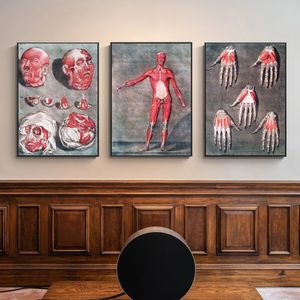 Vintage Morbid Anatomy Chart Human Body Medical Poster Canvas Painting Artwork Science Biology Educational Prints Home Decor