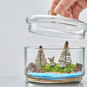 Mikro Peyzaj Yosun Bitkileri Cam Şişe Taze Taze Yeşil Moss Saksı Cam Terrarium Yaratıcı Bonsai Bitkiler Kapalı Dekor