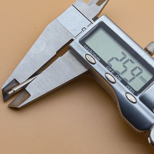 2,5 mm Federstangen Link Stifte 24mm Fettfeder Stangen Panerai Uhrengurt