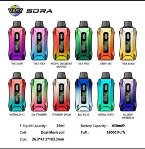 Original Vasy 18000 Puff 2/5% 23ml Prefilled Vapes 650mAh Rechargeable Airflow Adjustable 12 flavors dual mesh coil device Wholesale Factory China VS randm 12k