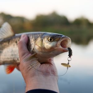 10pcs afundando ninfa scud inseto inseto truta pesca mosca artificial pavões realistas de penas de insetos iscas de pesca isca isca