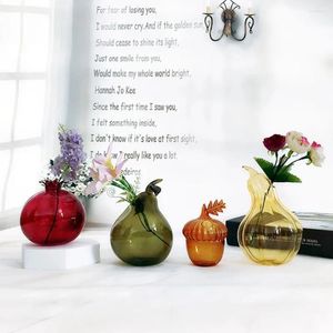 Vasi di frutta idroponica vaso trasparente fiore di melograno in vetro di nocciola