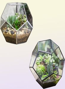 NCYP Modern Glass Terrarium Flower Pot Gold Geometric Terrarium Bonsai Pots Plates Planter Planter Descile Display Flowerpot Y2007239569886