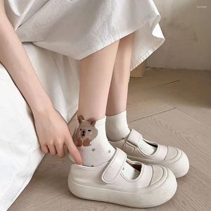 Women Socks Cotton Cartoon Capybara Summer Soft Thin Mid-tube Japanese Coffee Casual For Female