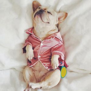 Luxus Haustierhund Pyjamas Weiches Seiden French Bulldog Mantel Kleidung für kleine Hunde Shih Tzu Welpe Katze Kleidung XS2XL 240328