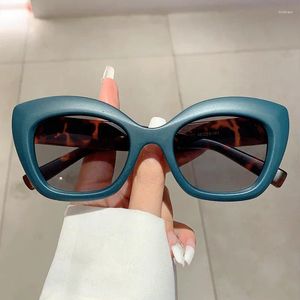 Solglasögon Kammpt överdimensionerad kattöga 2024 Stylish Vintage Candy Color Women Shades Ins Designer Outdoor Eyewear