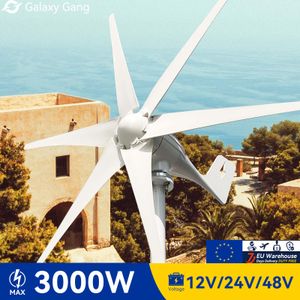 Galaxy Gang 6 Blades Windmills Wind Turbine Generator Free Energy China Factory 3000W 12V 24V 48V med MPPT -laddningskontroller