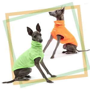 Vestiti abbigliamento per cani protezione solare grigio comodo muguito traspirante e giubbotto da corsa da strada resistente agli insetti