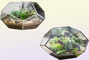 NCYP Modern Glass Terrarium Flower Pot Gold Geometric Terrarium Bonsai Flower Pots Plant Planter Desktop Display Flowerpot Y2007237750262