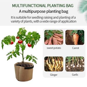 2/3/5/7/10 Gallons Plant Grow Bags Garden Plant Nursery Bag Flower Vegetable Growing Pots Indoor Outdoor Breathable Planter Tool