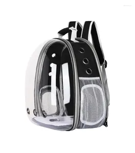 Cat Carriers Transparent Pet Bag Breathable Travel Backpack Puppy Carrier Products Large Capacity Extended Crate Portable