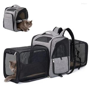 Kedi taşıyıcılar genişletilebilir sırt çantası evcil hayvan taşıyıcı çanta açık çift omuz çantaları kediler için küçük köpekler seyahat taşıma