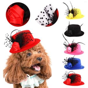 Psa odzież kota Puppy Hat Pabandka nagłówek Pet Fashion Decoration Top Hats Gentleman Fedora Kitten Cap na przyjęcie Bożego Narodzenia