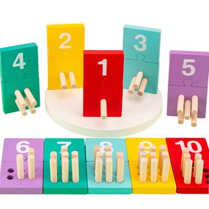 Montessori Contagem de PEG Toys Matemática Crianças Contando Blocos de Blocos Combationando Toys Sensorial Educacional de Cor Cosais