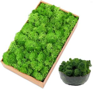 Decorative Flowers Eternal Life Moss Artificial Green Plants 20/40/80g Grass Family Room Garden Decor Mini Landscape Fake DIY Crafts