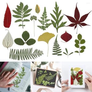 Decorative Flowers 5 Styles Real Dried Pressed Natural Po Props DIY Craft Filling Materials Stickers Resin Filler Beauty Decal