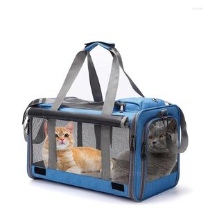 Kattbärare rymmer 2 katter Portable Carrier Bag Breattable Pet Mesh ryggsäck för hundar Handväskor Transpåsar Transport