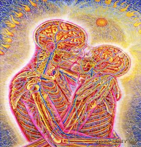 Poster 32x24quot 17x13quot Trippy Alex Grey Wall POSTER DRUCK HIERKEITER WALKSTÜCKE POSTER CAL0386895114