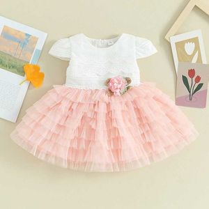 Abiti da ragazza Abiti da principessa per bambini Maglie Mesh Tulle Birthday Party Dress Dress Abito per bambini 3-24m