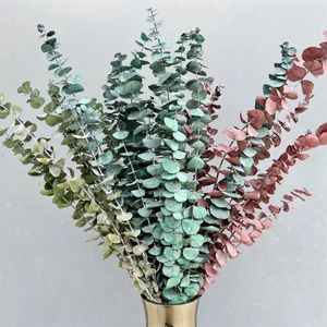 Flores decorativas 12 sistemas /lote 40-45 cm Eucalipto folhas plantas secas frescas e preservadas naturais para decoração de festa em casa galhos secos