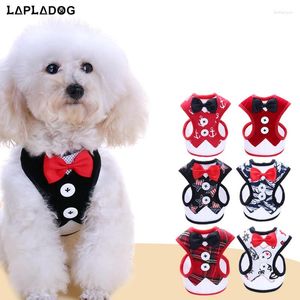 Colarinhos de cachorro lapladog roupas pequenas colarinho de cachorro chicote de cachorro gato coleira handmade fada princesa animais de estimação