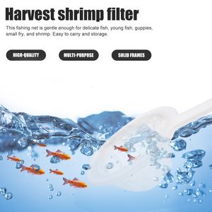 2 Pcs Brine Shrimp Filter Aquarium Separator Fish Tank Kids Fine Mesh Sieves Pp Artemia Catch Nets Child Colander Strainer