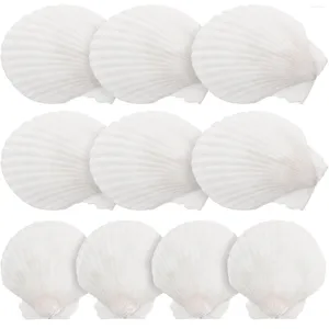 Vasen 10 Stcs Natural Shell Decoration Aquariumschuhe Zauber Beach Strand Muschel Ozean schmücken Kunsthandwerk