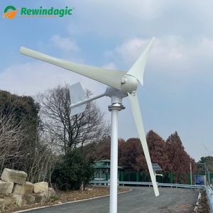 China Factory 1500W 2000W Wind Turbine Generator 48V 24V 12V Windmill Horisontell vindfri energi med MPPT -kontroller för hemmet