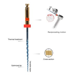 1-10 pacchetti dentali endodontici file rotanti file rotanti canali nit file 25mm