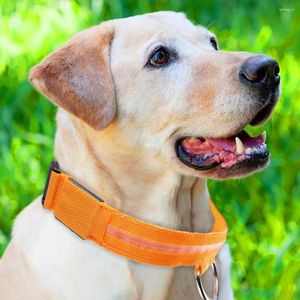 Dog Collars LED Collar Pet Flashing Luminous Night Safety Neck Strap Dogs Light Up Accessories Supplies