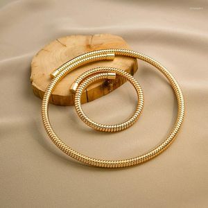 Brincos de colar Conjunto de 2pcs de pulseiras de pulseiras elásticas empilháveis Spring para desgaste diário