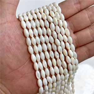 100% naturliga skalpärlor Vita Pearl Heart Oval Oval Star Farterfly Oregelbundet form Charms Pärl för smycken Making DIY 15 
