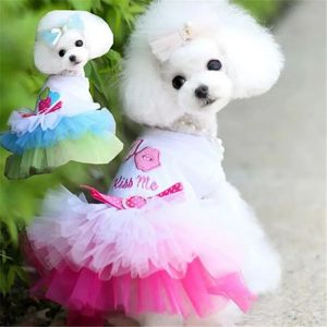 Köpek giysileri küçük köpekler tatlı prenses bahar sonbahar yavrusu dantel düğün maskotas roupa yzl 240328