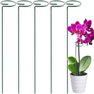 1 pezzi Plant Flowers Support Stake Backyard Bellissimo supporto per impianti Stakes Bonsai Strumento di vendita Hot Strumento Support Ring