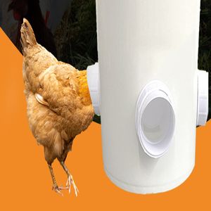 自動フィードフィーダーチキンアヒルガチョウ養鶏飼料養鶏飼料ポート重力飼料キットバケツチキンとアヒルフィーダー