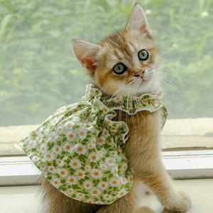 Cat Apparel Summer Slim Little Cute Short Kjol Princess Style Puppy Teddy Pet Dog Pet Clothes 240412