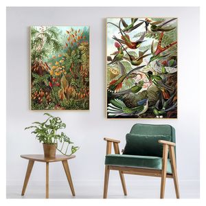 팜 트리 프린트 빈티지 벌새 식물 열대 벽 예술 캔버스 그림 그림 장식 어른스트 하이켈 생물학 포스터