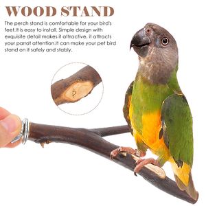 4 Pcs Platform Tree Branch Stand Bar Wood Bird Perch Wooden Toys Toy Wooden Biting Stick Standing Rod