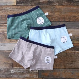 Shorts 3 PCs/Pack Teen Unterwäsche Baumwollplaid kurzes Höschen für Kinder Jungen Baumwolle Kinder Cartoon Lion Boxer Shorts Junger Jungen Underpant