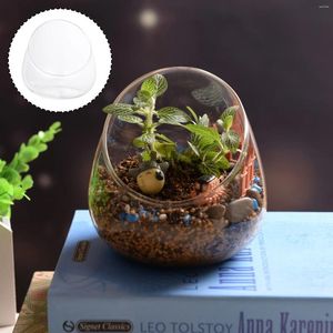 Vases Slant Cut Bowl Clear Glass Vase Bubble Terrarium Table Centerpiece For Succulents Flowers