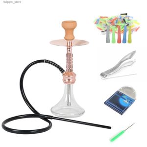 Andra hemträdgårdar 1 slanghoppning med allt 17 Glass Hookah Shisha kommer med 1 foliehål Puncher 50 Hookah Foil 100 Disponibla Tips L46